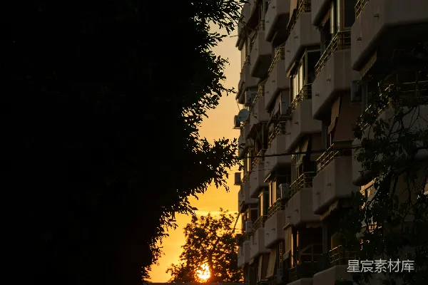 高清摄影 橙色的夕阳透过一棵暗树和一座建筑之间的缝隙显现出来。