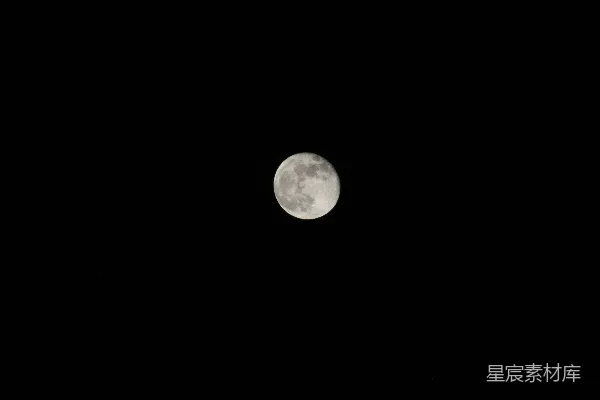 高清摄影 夜空中的圆月