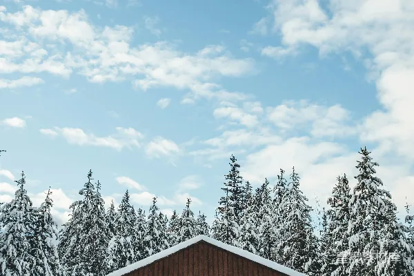 高清摄影 雪中的木屋