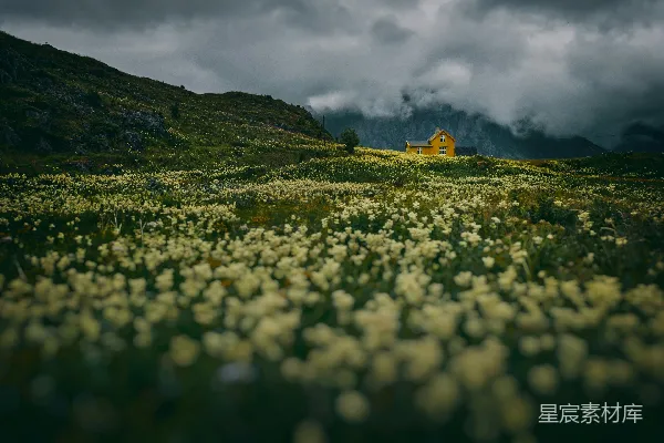 高清摄影 山间小屋与花海