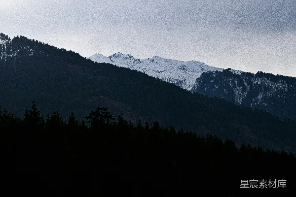 高清摄影 雪山与森林的轮廓