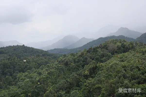 高清摄影 热带雨林中的山脉