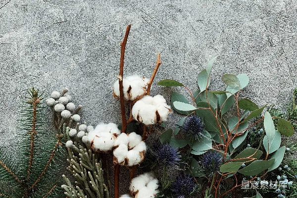 高清摄影 自然与静谧的花艺组合