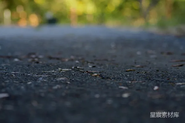 高清摄影 黄昏中的路