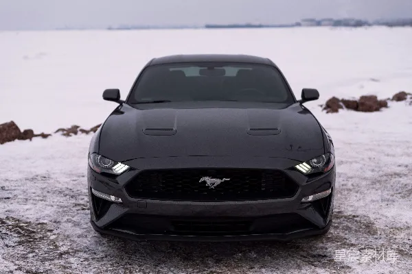 高清摄影 雪地中的福特Mustang