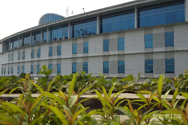高清摄影 现代建筑与绿色植物的和谐共处