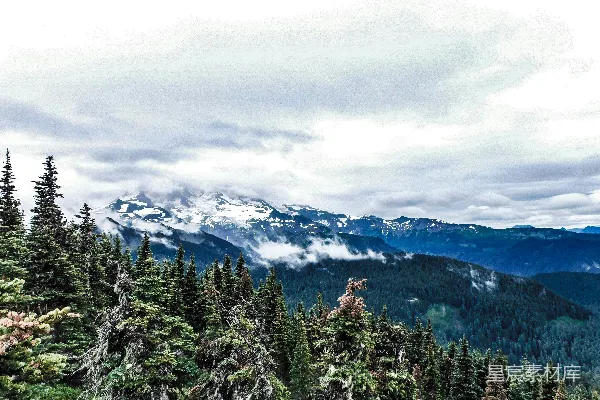 高清摄影 云雾缭绕的雪山与森林