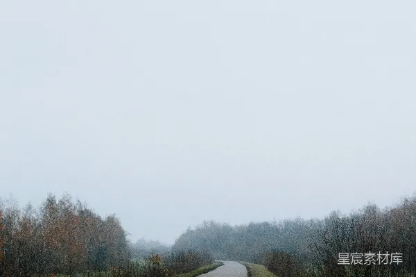 高清摄影 秋雾中的乡间小路