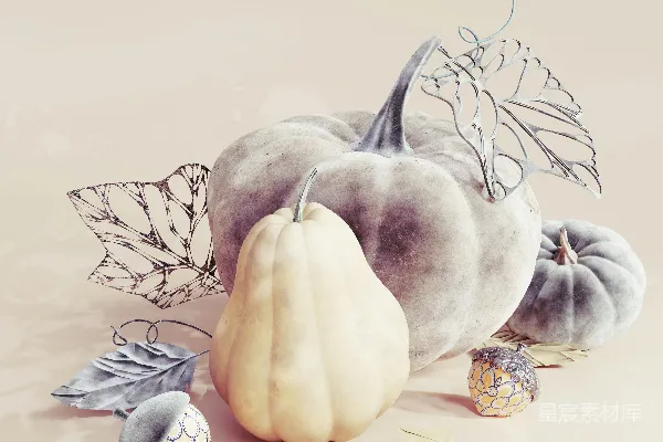 高清摄影 秋季装饰南瓜与银叶