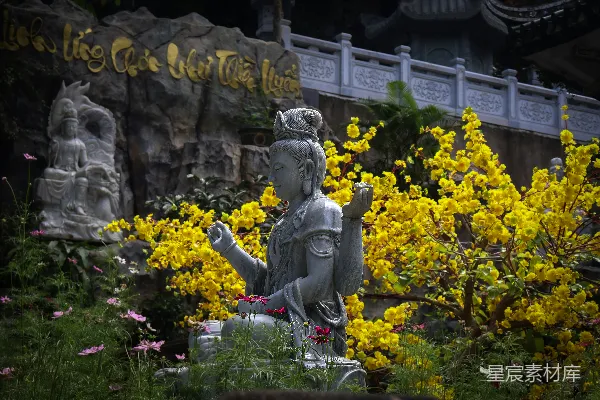 高清摄影 佛像与黄花的宁静景致