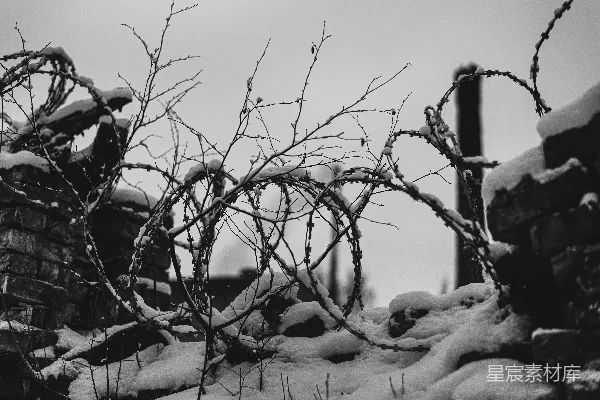高清摄影 雪地中的铁丝网