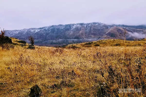 高清摄影 秋日山野晨雾