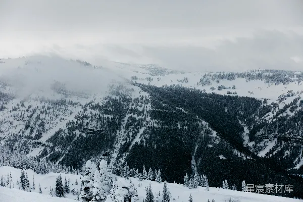 高清摄影 雪覆群山，雾锁松林