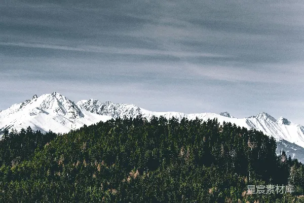 高清摄影 雪山与森林的静谧美景