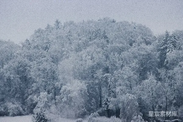 高清摄影 冬日雪景