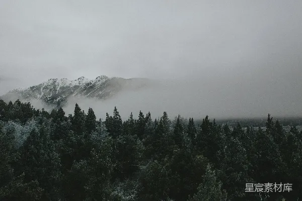 高清摄影 雾中的森林与山峰