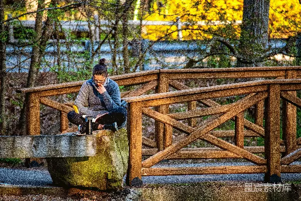 高清摄影 秋日书海静思