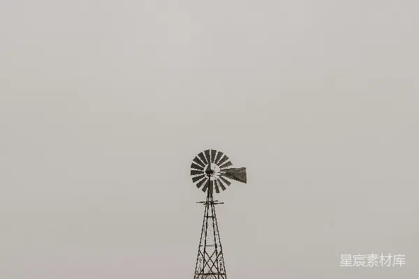 高清摄影 风车与草原上的牛群