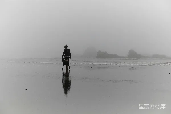 高清摄影 雾中的海滩漫步