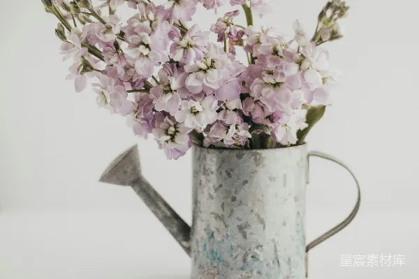 高清摄影 静谧的花园角落