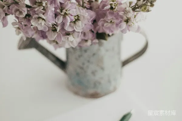 高清摄影 静谧的花与笔记本