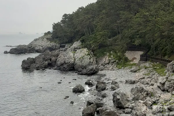 高清摄影 海边的岩石与森林