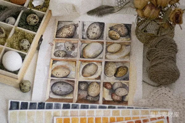 高清摄影 自然元素的艺术展示