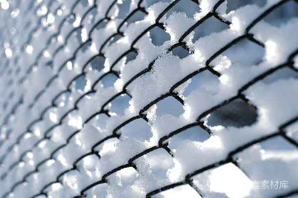 高清摄影 冬日铁丝网上的积雪