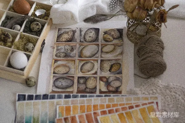 高清摄影 自然与艺术的结合：蛋壳画与乡村风格布置