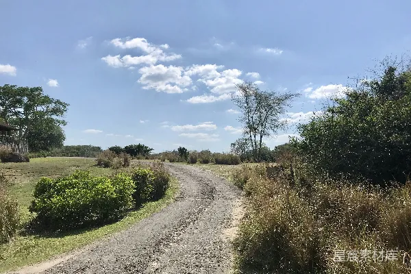 高清摄影 非洲乡村小路