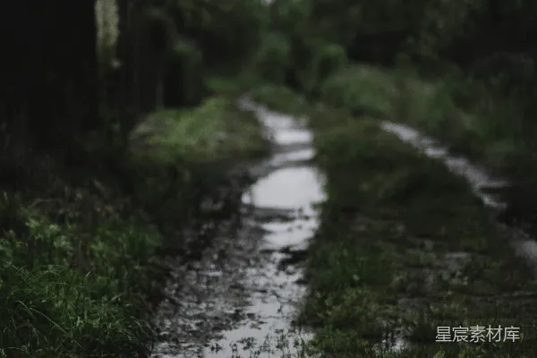 高清摄影 雨后泥泞的小径