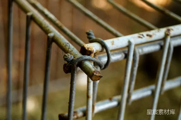 高清摄影 铁栅栏上的老旧锁头