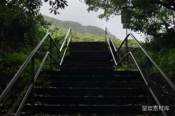 高清摄影 森林中的阶梯