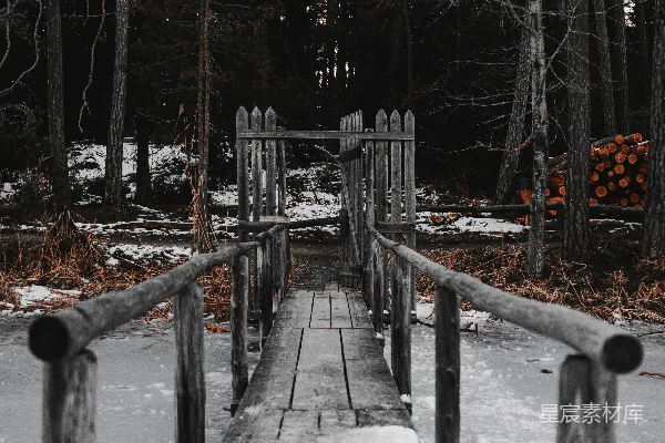 高清摄影 冬日雪地上的木桥
