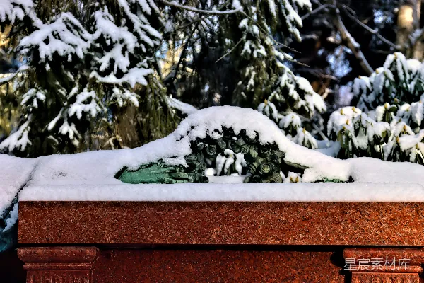 高清摄影 冬日之景：雪覆盖的雕塑