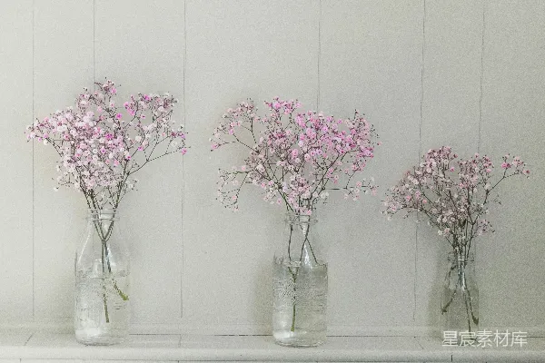 高清摄影 粉色小花瓶插花