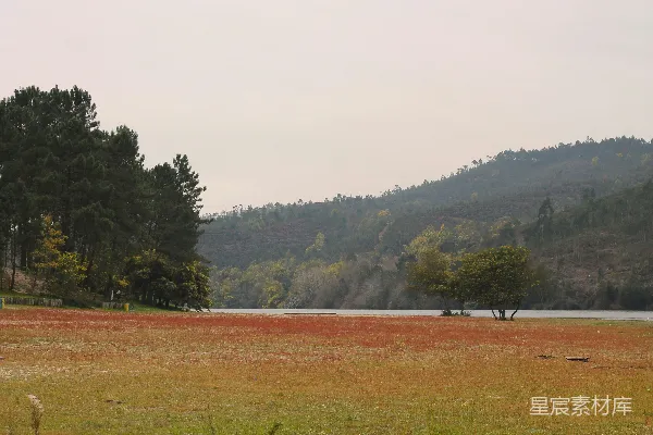 高清摄影 宁静湖畔的秋景