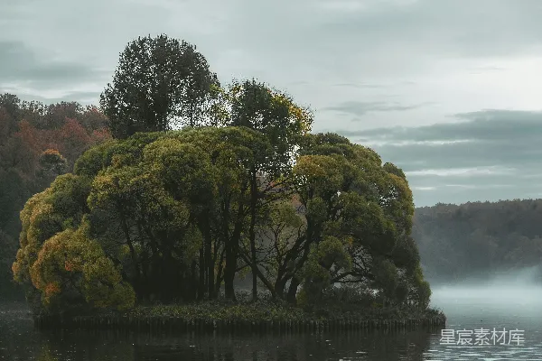 高清摄影 湖畔孤岛的宁静