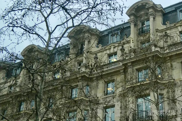 高清摄影 巴黎老建筑与枯树