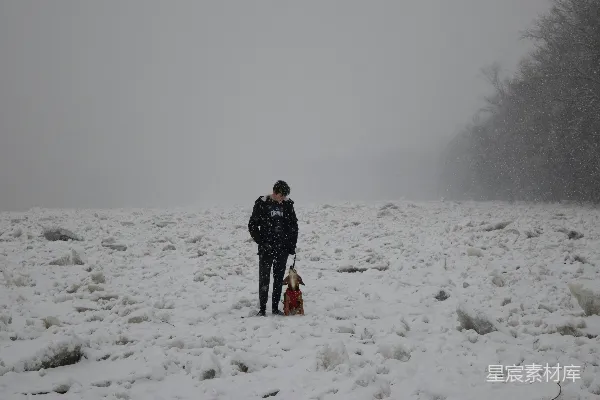 高清摄影 雪中的宁静时光