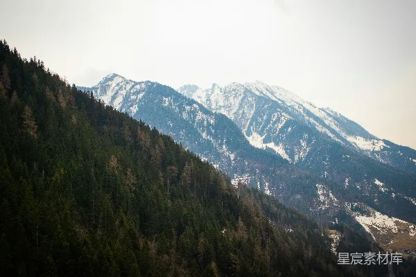 高清摄影 雪山下的森林