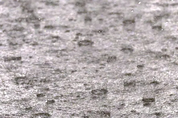 高清摄影 雨中的水滴
