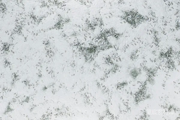 高清摄影 冬日雪地上的动物足迹