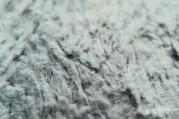 高清摄影 柔软的羽毛纹理