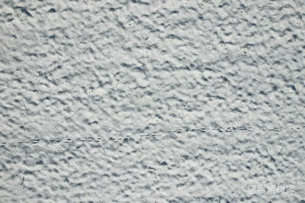 高清摄影 雪地足迹