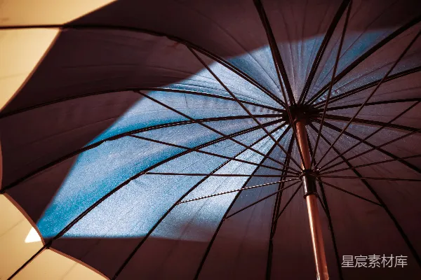 高清摄影 雨中的伞影