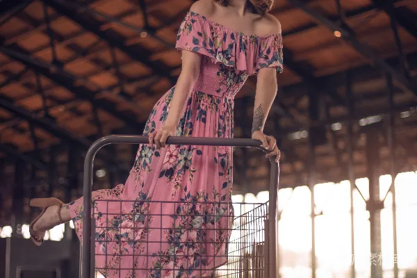 高清摄影 粉色花裙女孩与购物车