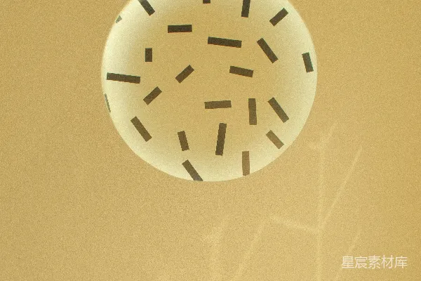 高清摄影 简约几何艺术墙饰