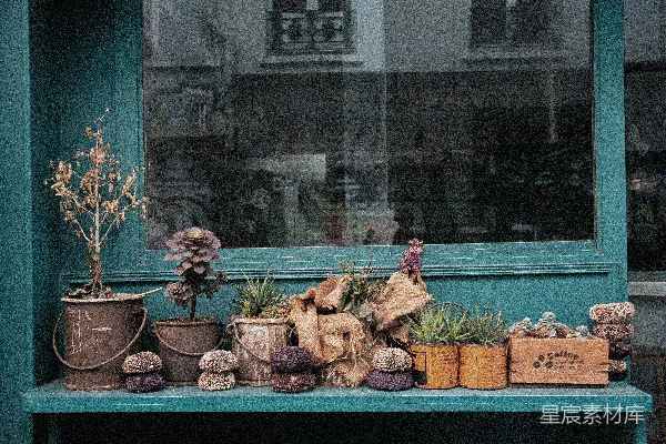 高清摄影 复古窗台上的植物与毛绒球