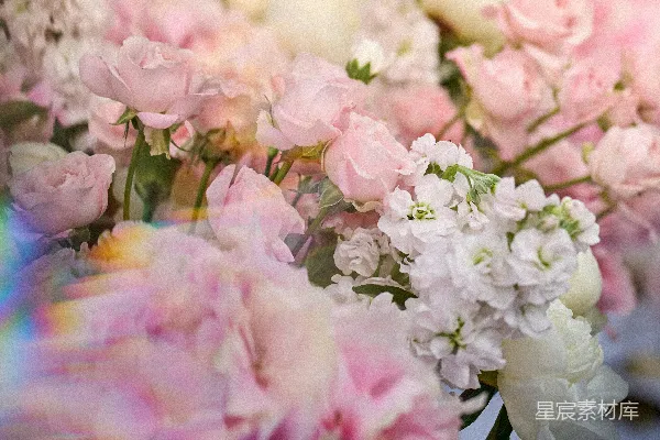 高清摄影 梦幻粉白花束